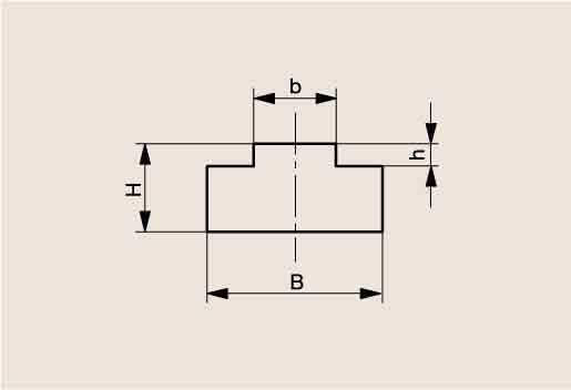 Схема направляющей цепи СВМПЭ Тип T